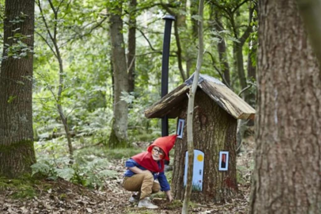 Chalet Te Huur Op *****Camping Terspegelt 4 Personen Eersel Εξωτερικό φωτογραφία